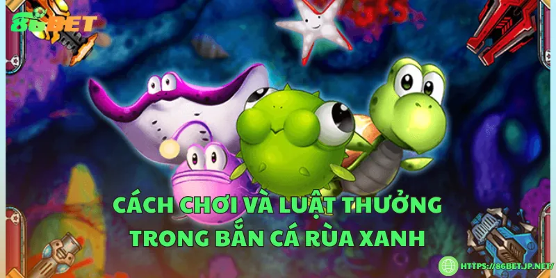 Bắn cá rùa xanh – Cách chơi và luật trả thưởng Cách chơi và luật thưởng trong bắn cá rùa xanh